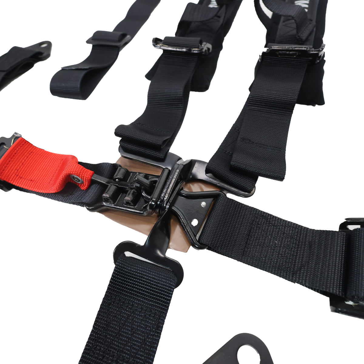 2-inch 5-point Harness with Off Road Buckle - Harness