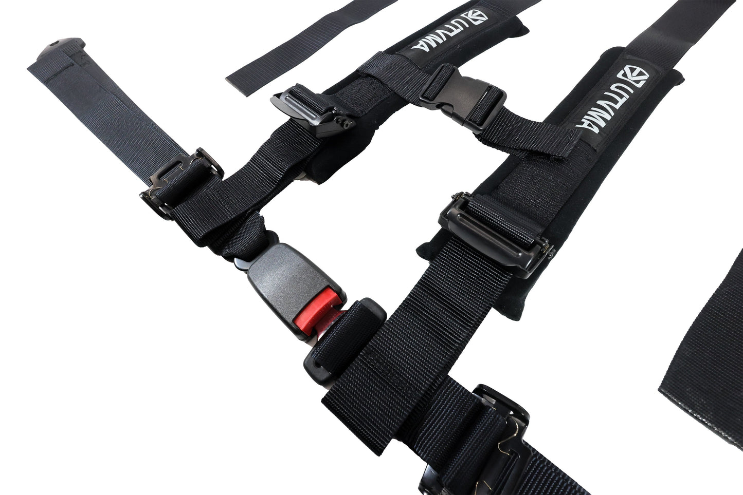 Four Harness Pack Auto Buckle with Harness Collars - Harness