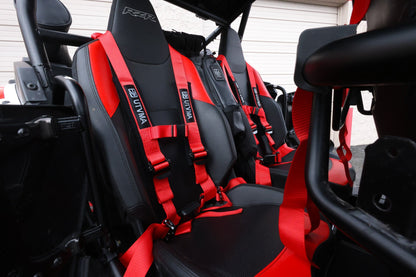 RZR 1000 XP/ XP S Harness Kit (2024+) - Harness